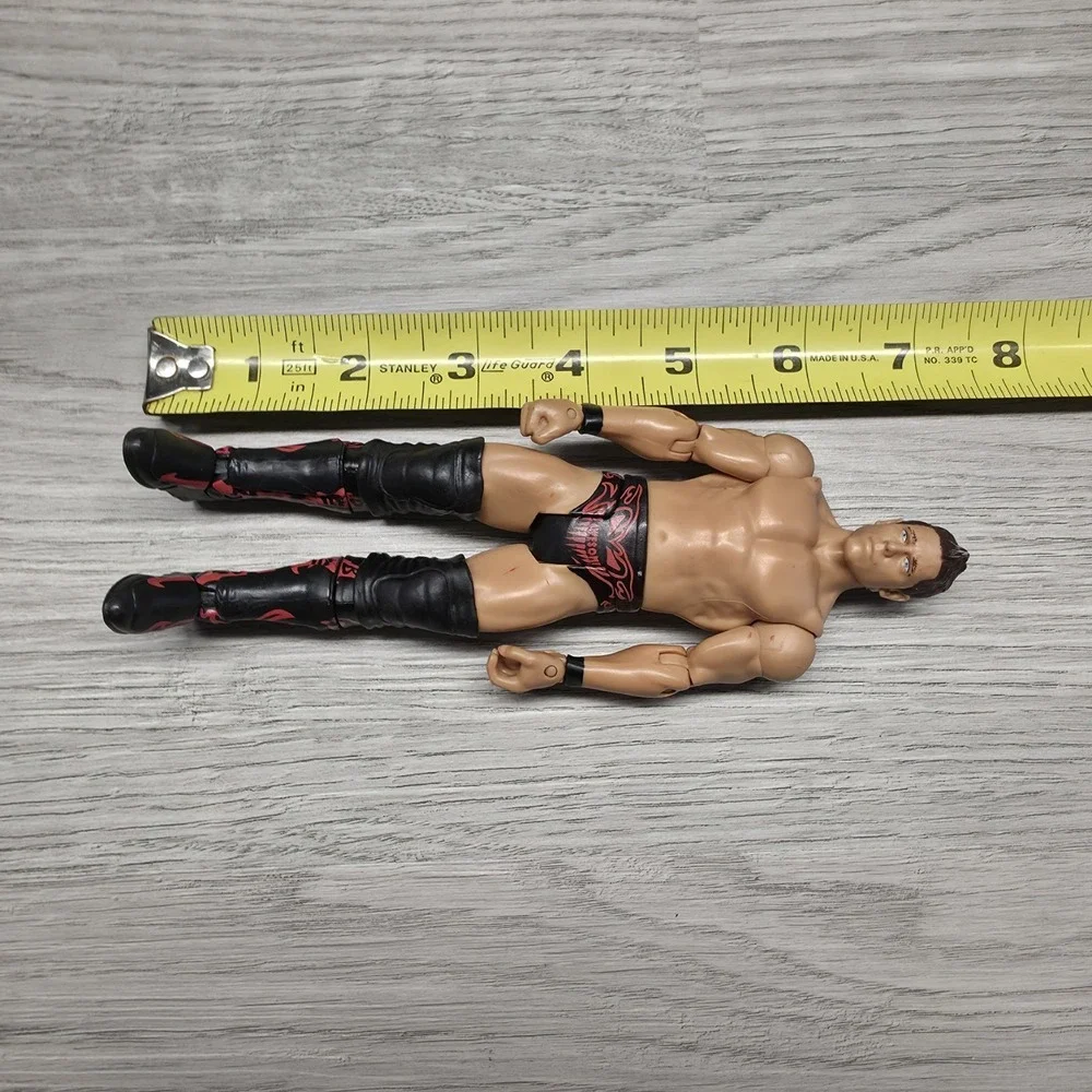 2010 WWE 